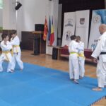 Recomandarea unui prieten nu e încă o decizie de cumpărare